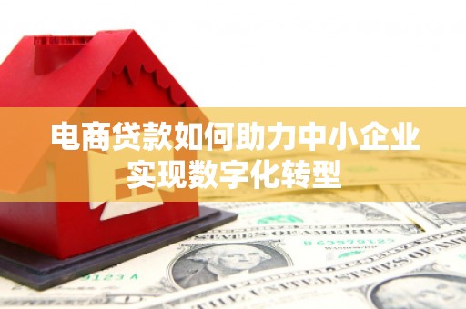 天元电商贷款如何助力中小企业实现数字化转型