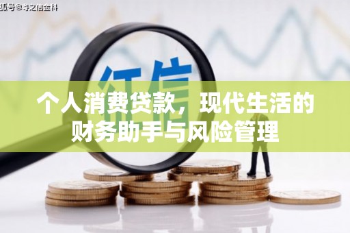 天元个人消费贷款，现代生活的财务助手与风险管理