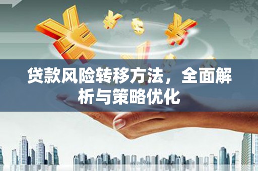 天元贷款风险转移方法，全面解析与策略优化