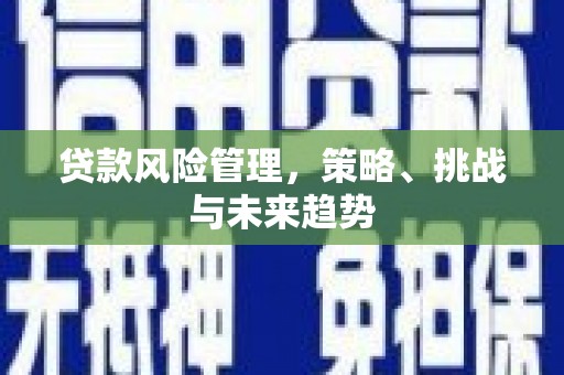 天元贷款风险管理，策略、挑战与未来趋势