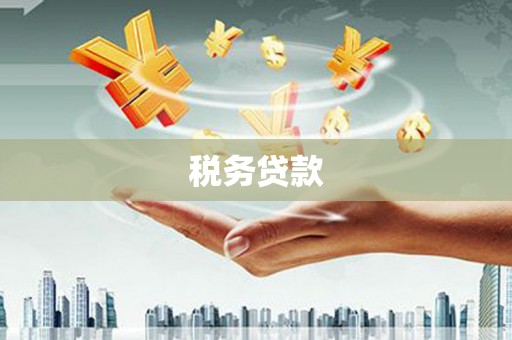 天元税务贷款