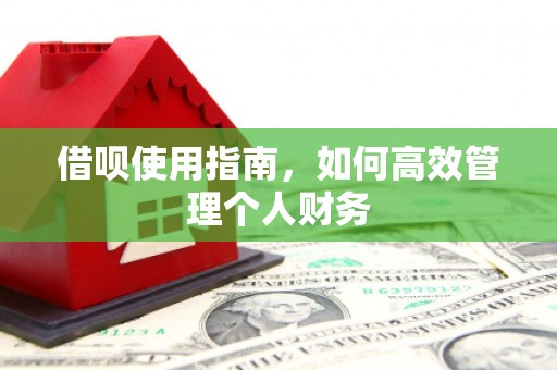 天元借呗使用指南，如何高效管理个人财务