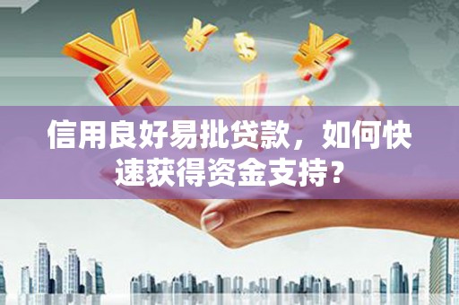 天元信用良好易批贷款，如何快速获得资金支持？