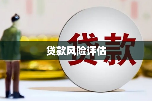 天元贷款风险评估
