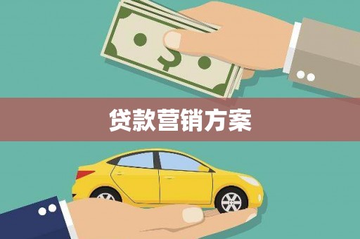 天元贷款营销方案