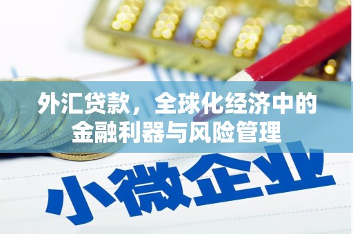 天元外汇贷款，全球化经济中的金融利器与风险管理