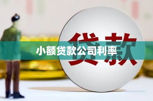 天元小额贷款公司利率