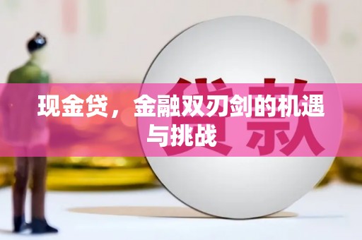 天元现金贷，金融双刃剑的机遇与挑战