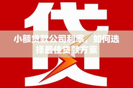 天元小额贷款公司利率，如何选择最佳贷款方案