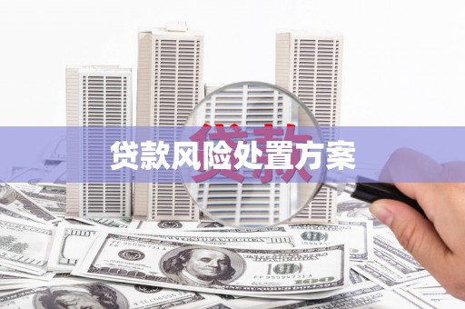 天元贷款风险处置方案