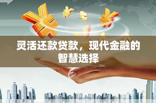 天元灵活还款贷款，现代金融的智慧选择