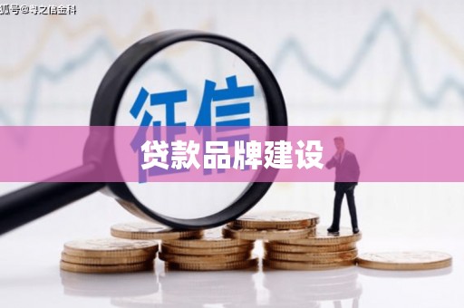 天元贷款品牌建设