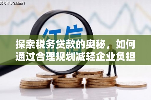 天元探索税务贷款的奥秘，如何通过合理规划减轻企业负担
