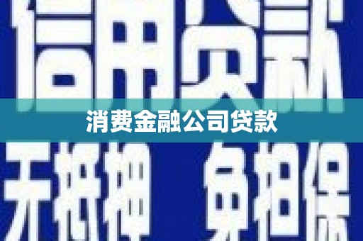 天元消费金融公司贷款