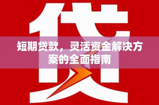 天元短期贷款，灵活资金解决方案的全面指南
