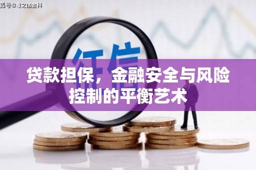 天元贷款担保，金融安全与风险控制的平衡艺术