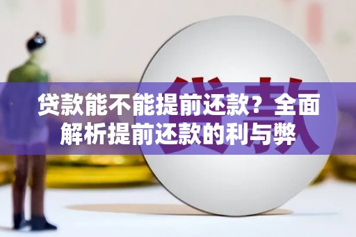 天元贷款能不能提前还款？全面解析提前还款的利与弊