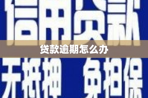 天元贷款逾期怎么办