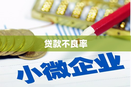 天元贷款不良率