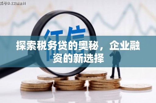 天元探索税务贷的奥秘，企业融资的新选择