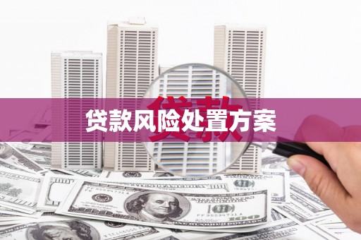 天元贷款风险处置方案