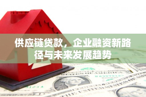 天元供应链贷款，企业融资新路径与未来发展趋势