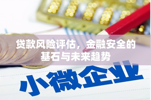 天元贷款风险评估，金融安全的基石与未来趋势