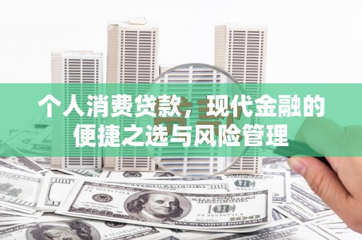 天元个人消费贷款，现代金融的便捷之选与风险管理