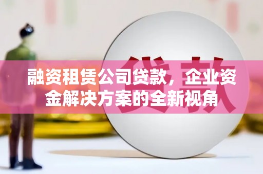 天元融资租赁公司贷款，企业资金解决方案的全新视角
