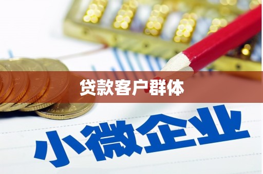 天元贷款客户群体