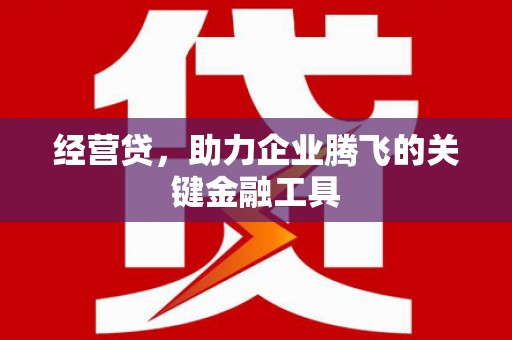 天元经营贷，助力企业腾飞的关键金融工具