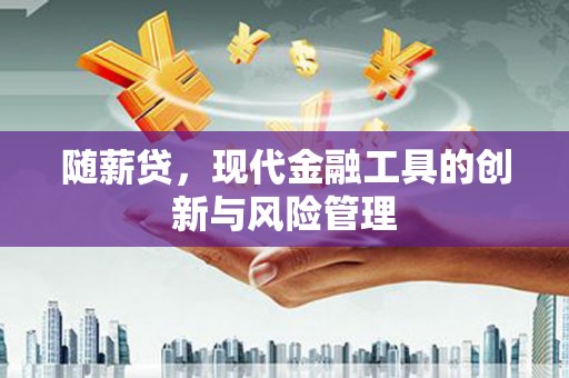 天元随薪贷，现代金融工具的创新与风险管理