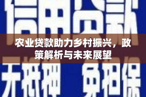 天元农业贷款助力乡村振兴，政策解析与未来展望