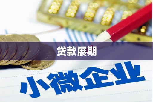 天元贷款展期