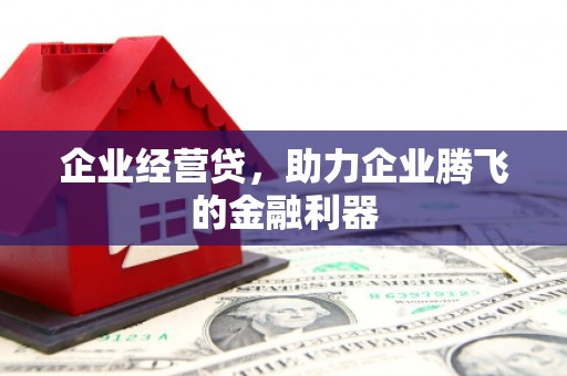 天元企业经营贷，助力企业腾飞的金融利器