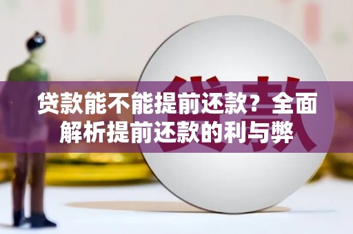天元贷款能不能提前还款？全面解析提前还款的利与弊