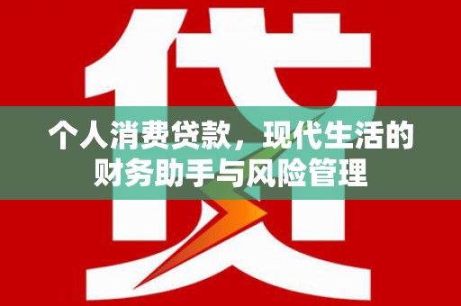 天元个人消费贷款，现代生活的财务助手与风险管理