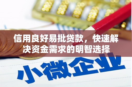 天元信用良好易批贷款，快速解决资金需求的明智选择