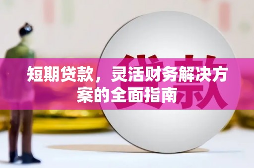 天元短期贷款，灵活财务解决方案的全面指南