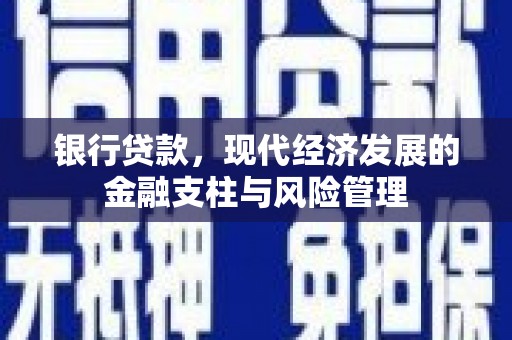 天元银行贷款，现代经济发展的金融支柱与风险管理