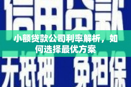 天元小额贷款公司利率解析，如何选择最优方案