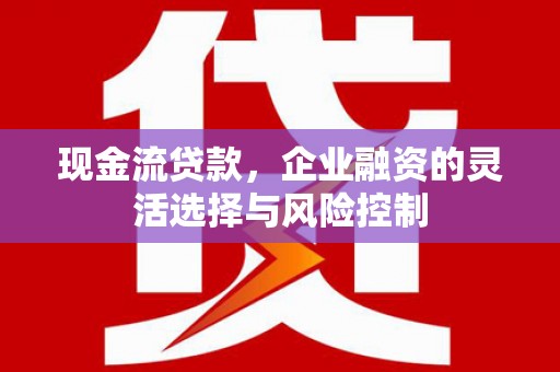 天元现金流贷款，企业融资的灵活选择与风险控制