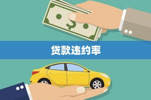 天元贷款违约率