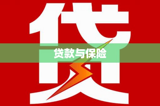 天元贷款与保险