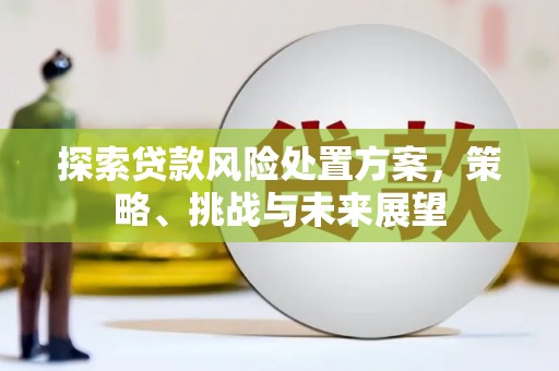天元探索贷款风险处置方案，策略、挑战与未来展望