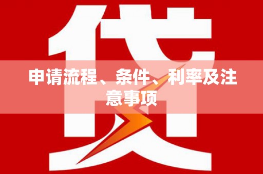 天元申请流程、条件、利率及注意事项