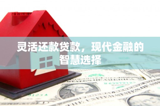 天元灵活还款贷款，现代金融的智慧选择