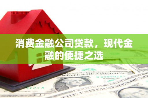 天元消费金融公司贷款，现代金融的便捷之选