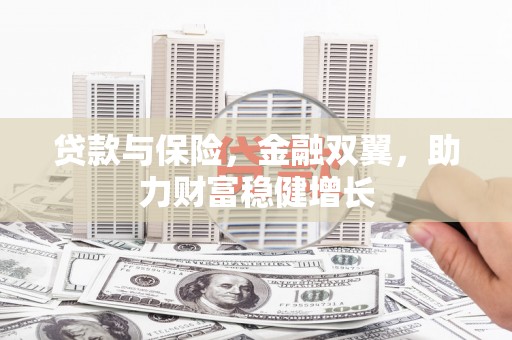 天元贷款与保险，金融双翼，助力财富稳健增长