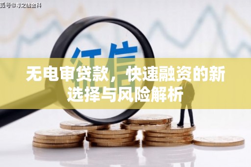 天元无电审贷款，快速融资的新选择与风险解析